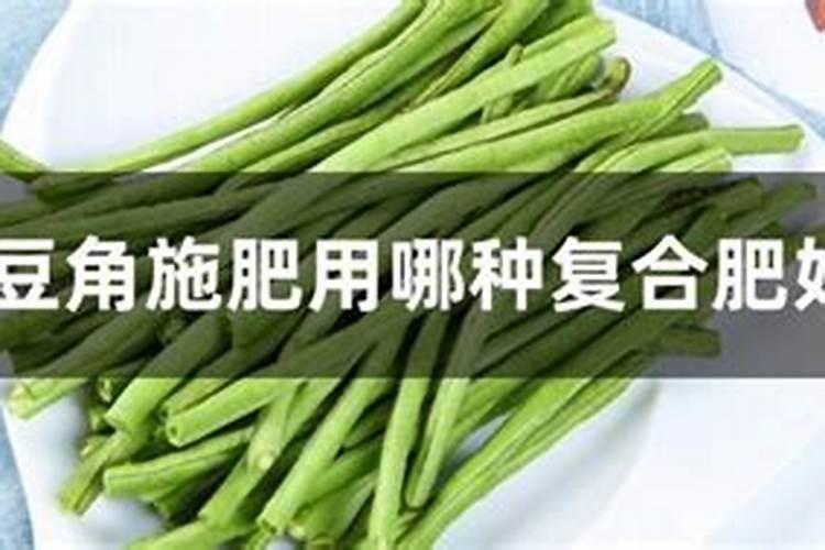 豆角开花期怎样施肥 什么时候施肥产量高