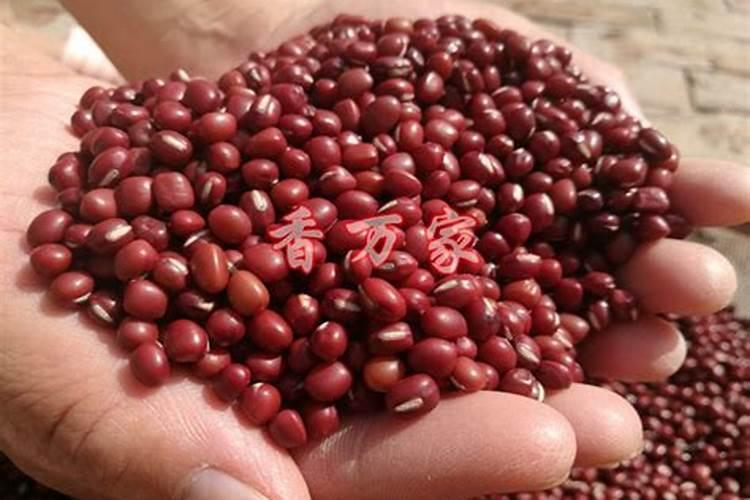 能让红薯高产的施肥方法