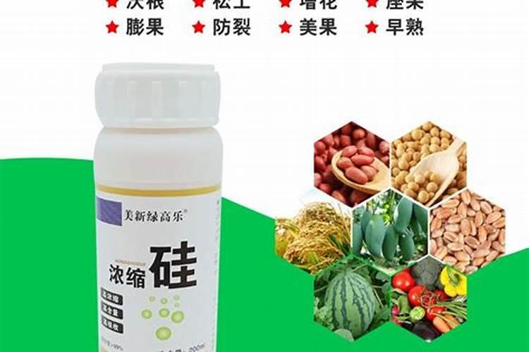 磷肥对植物的作用