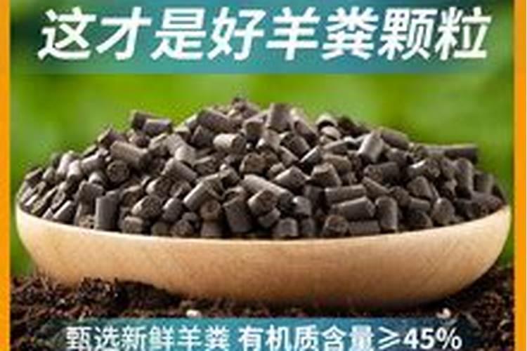 叶面肥哪个厂家最好