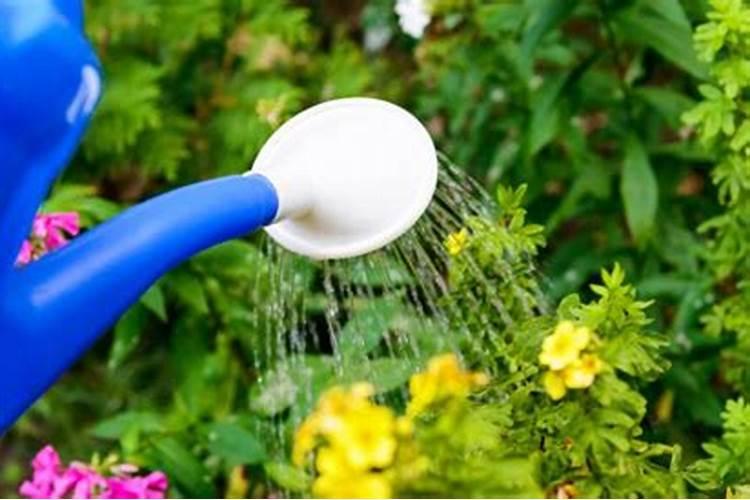 水溶肥多久可以被果树吸收