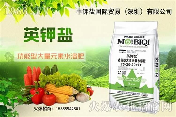 大量元素水溶肥施用几天,施用方法,注意事项