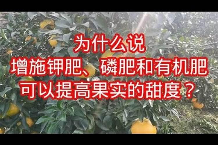 香蕉用什么肥料好