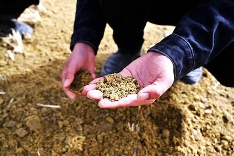 有机肥设备有机肥生产线,哪个厂家综合实力比较好