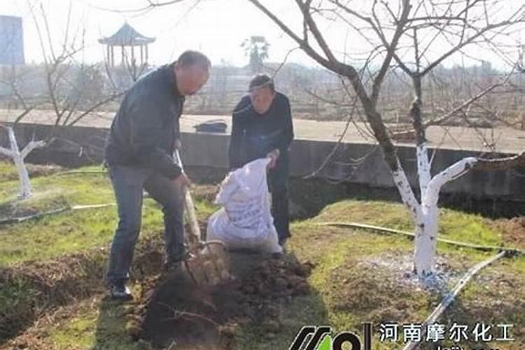 那些蔬菜可以用叶面肥