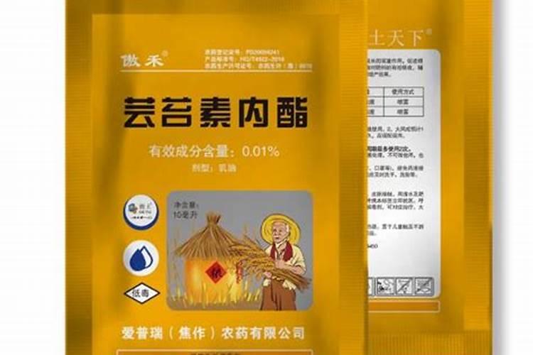 芸苔素内酯持效期多长