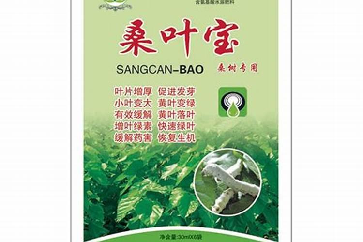 桑叶牡丹的种植方法是什么