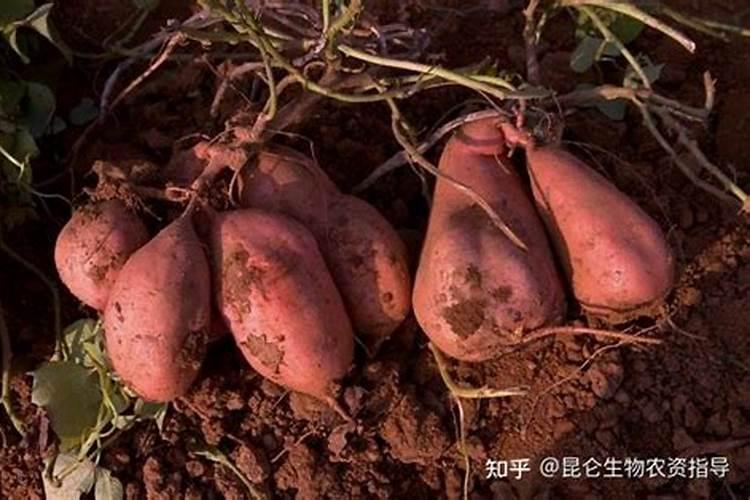 氮磷钾肥料的作用