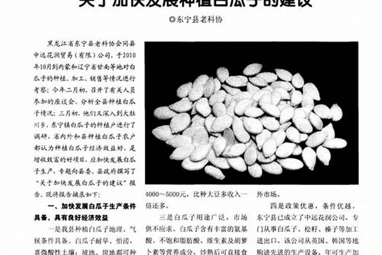 巴盟瓜子的种植技术