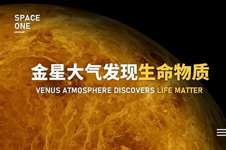 山茶花应该如何种植