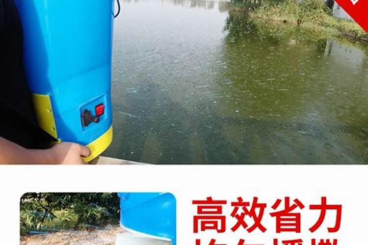 想搞鱼菜共生,哪些蔬菜可以种在水里？