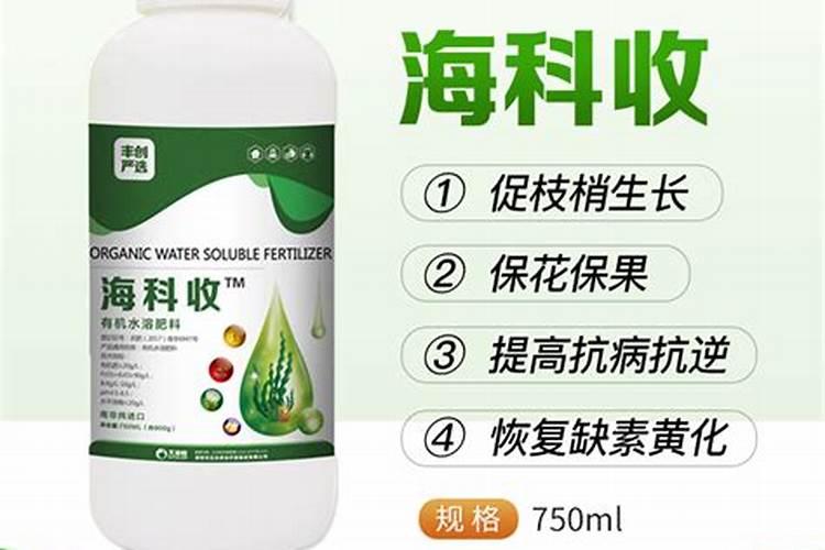 海藻肥都十年了,你还在被忽悠吗？一篇文章让你了解透