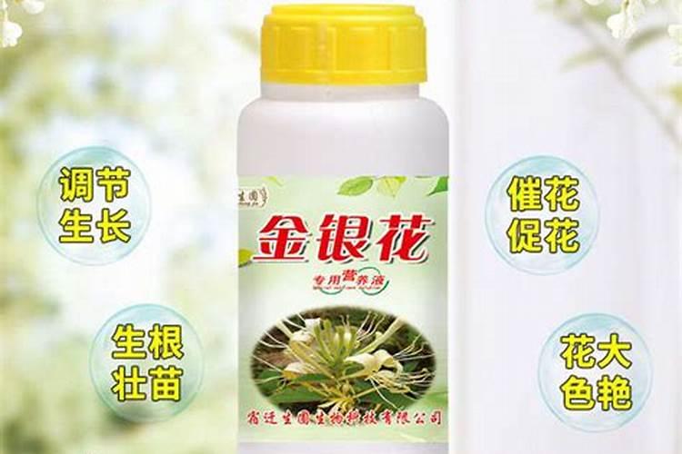 黄瓜用什么肥料长势好？黄瓜专用叶面肥什么时候用好？