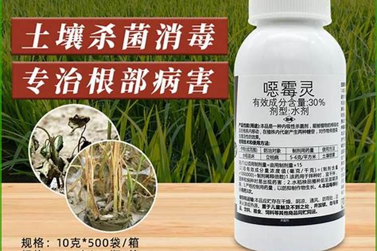 西瓜底肥过多烧苗怎么办？