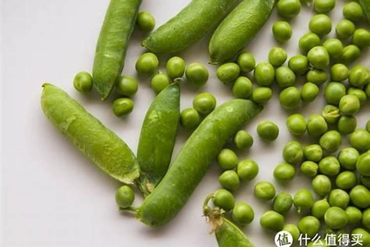 种青菜用什么肥料好