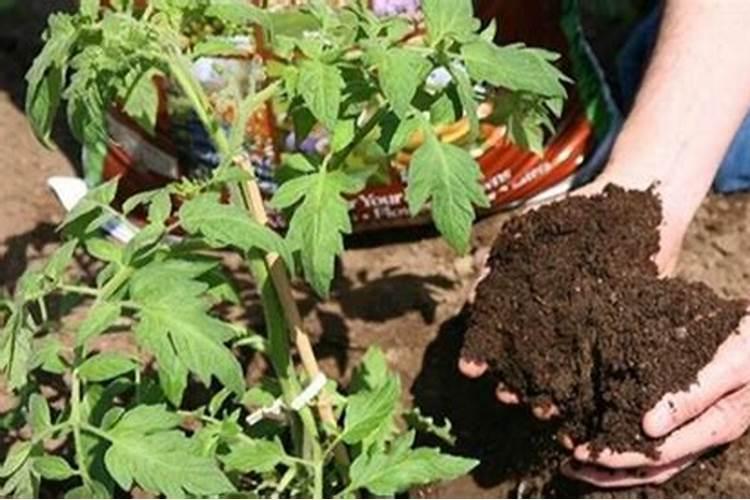 易氧化和遇光易变质的药物保存时