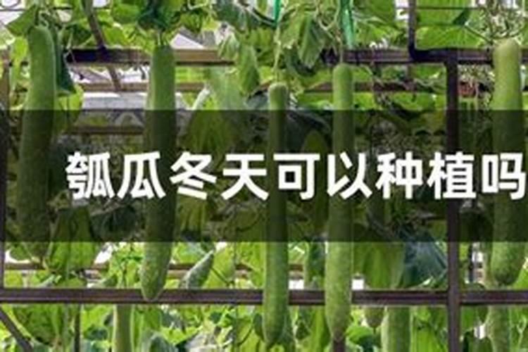 水溶肥快速化解方法