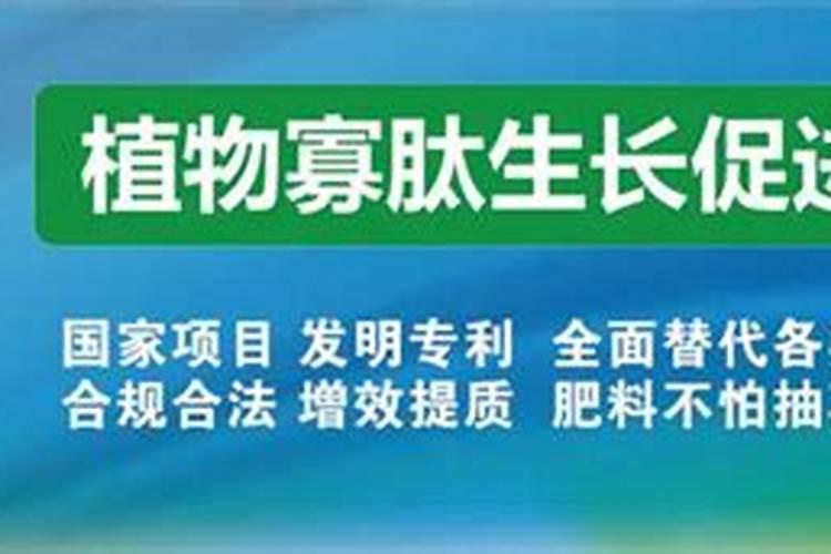 生根水可以浇花吗