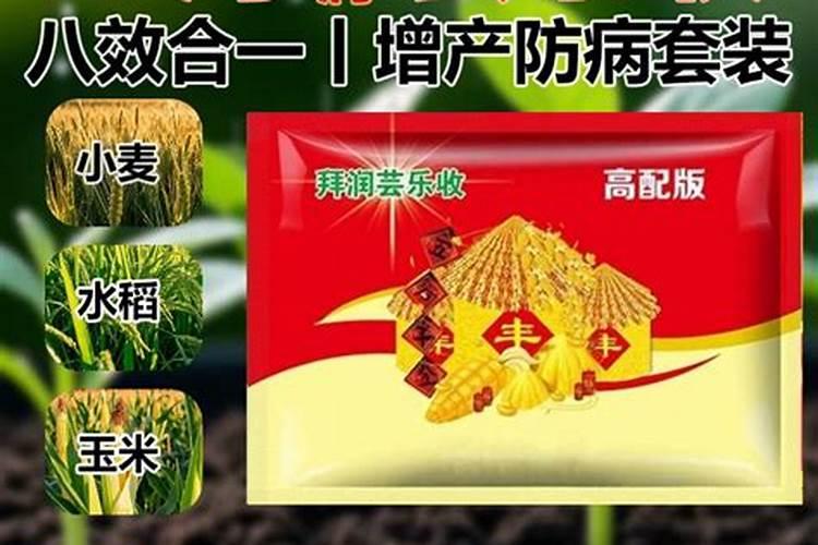 炒熟的黄豆可以做肥料吗