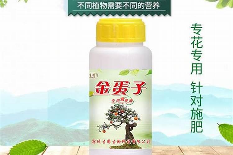 大豆花期喷什么叶面肥好