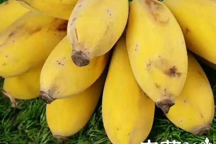 鸡蛋壳怎么做肥料可以直接撒在花盆里吗