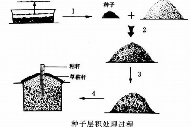 用什么浇果树幼苗可促其生长快速