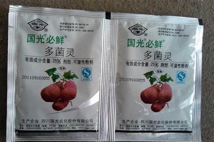 多肉怎么施肥 多肉的施肥方法