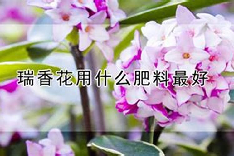 种植蘑菇都需要什么材料