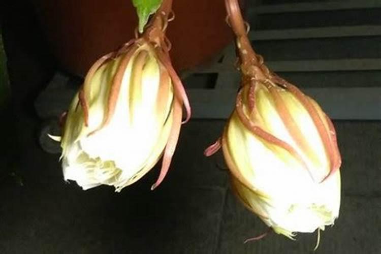 如何鉴别磷肥,钾肥,氮肥