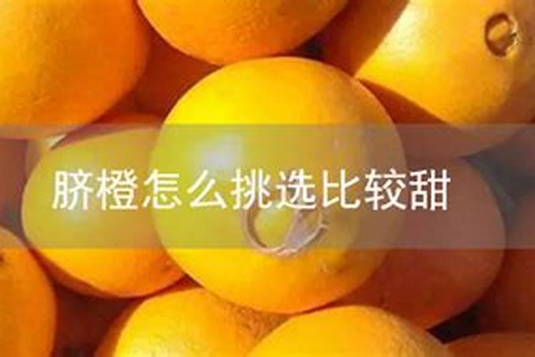 长寿豆的种植方法 长寿豆怎么种植