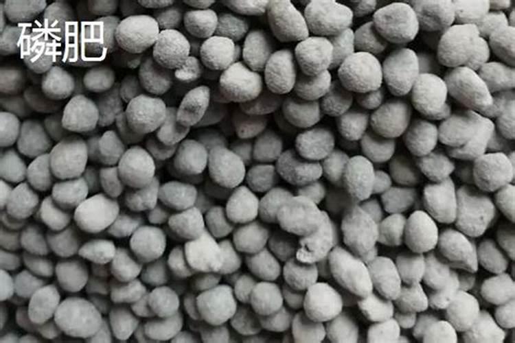 大量元素水溶肥单一含量误差多少合适