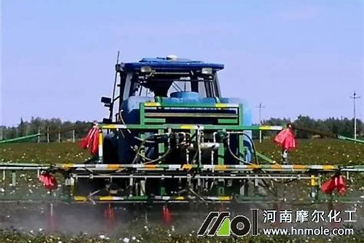 化肥施用的十大禁忌 化肥施用要注意什么