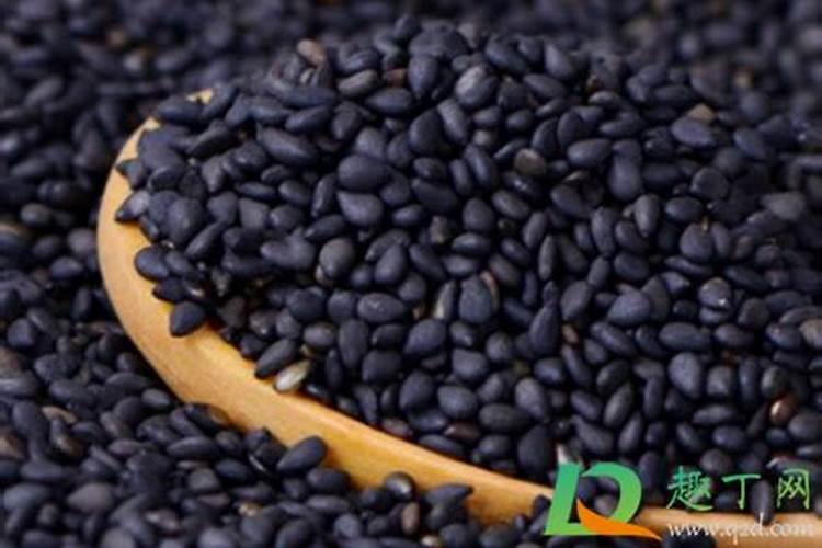 炒熟的芝麻怎样养花