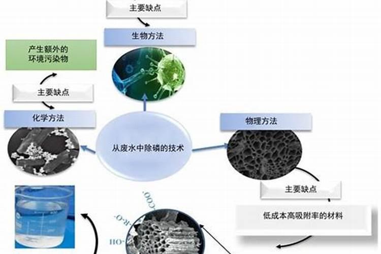 柑橘上长青苔,对柑橘树有影响吗？
