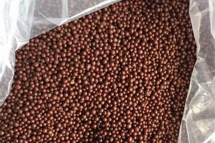 【植物养护】植物缺素症图谱大集合