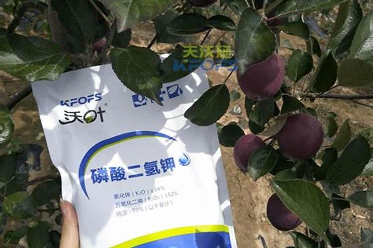 苹果树补钙的叶面肥有哪些苹果树叶面肥一年喷几次都喷什么肥
