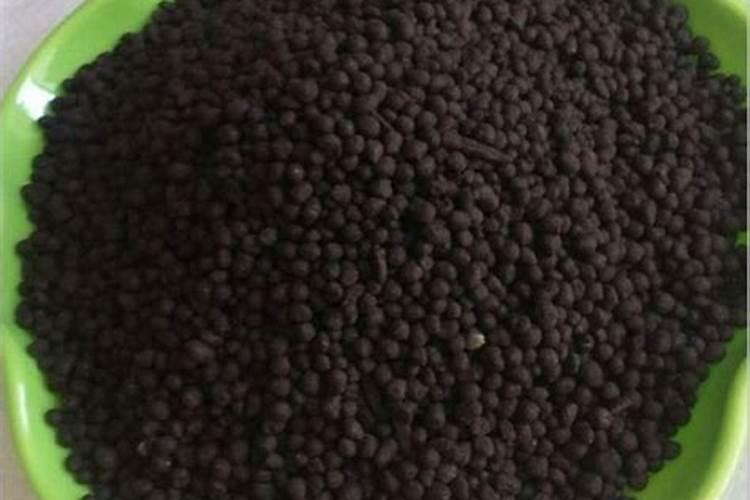 在下雨天的状况下,金刚虾能否消毒？