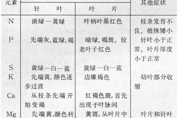 深秋水库钓鱼用什么小药最好呢