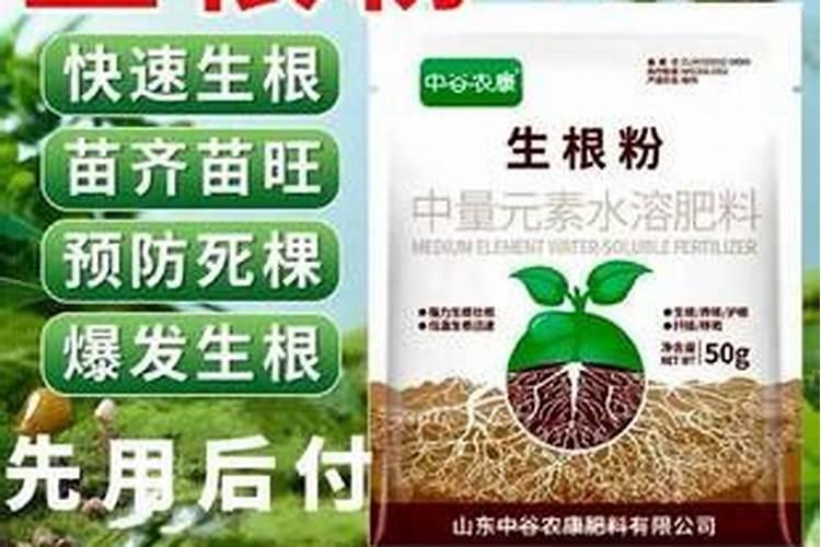 豆角缺素会导致哪些症状呢？如何进行治理呢？