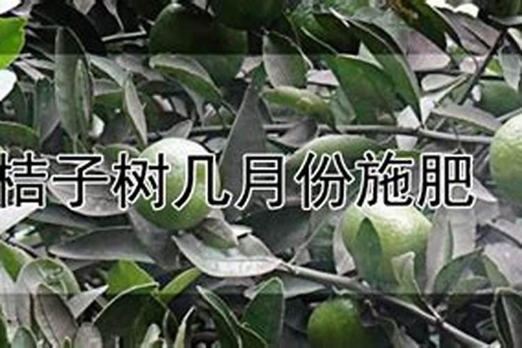 芸苔素和磷酸二氢钾混用有什么效果