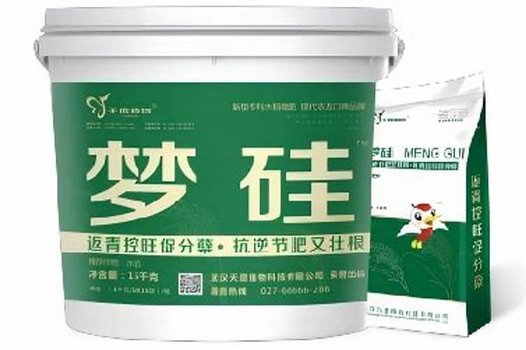 盆栽石斛兰花的叶面肥用那种好 盆栽石斛兰花的叶面肥哪那种最好呢