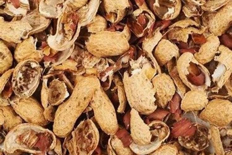 炒熟的花生怎么做花肥 炒熟的花生如何做花肥