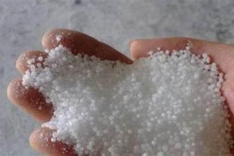 多肉需要施肥吗 如何施肥长得好