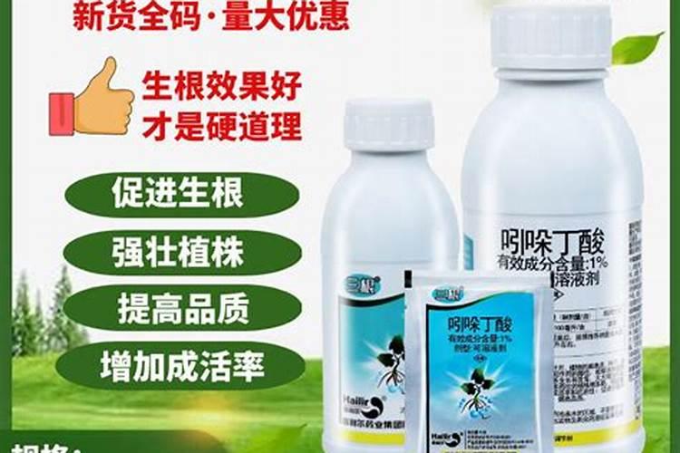 杨树用复合肥还是尿素好？