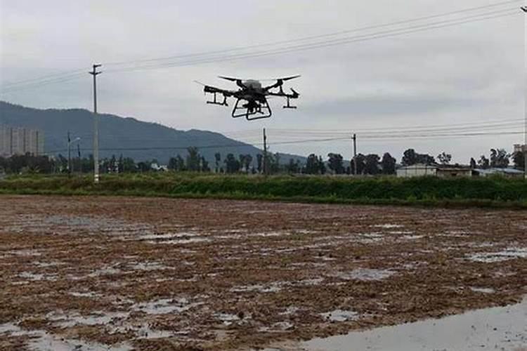 花生种植一次性施肥,用什么肥好？有推荐的吗？