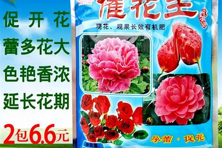 西瓜苗期用什么叶面肥