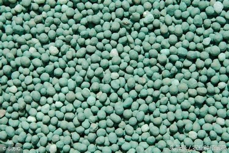 大量元素和微量元素的划分依据