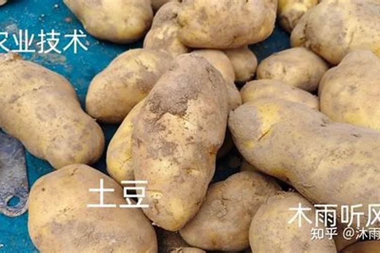 腐植酸肥料的使用方法有人知道吗？