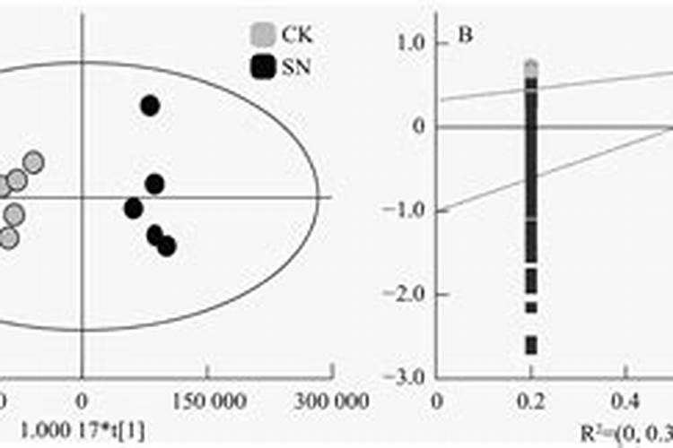 大蒜需要锌和硼肥吗？
