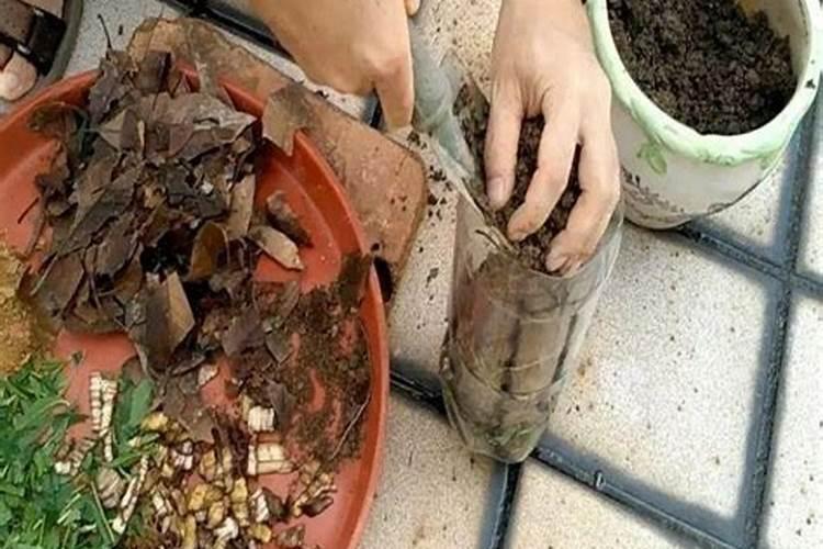 养花用什么肥料最好